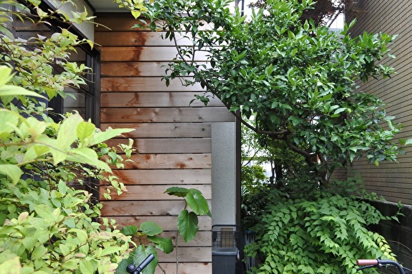 kYRghWz5E8YW5Lg1593219382