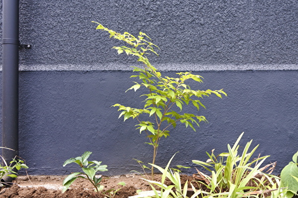 ul4u6MqkLDCqvy51591487291