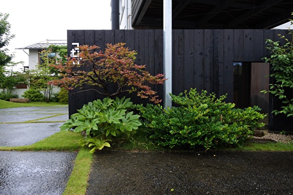 1XZl9G3JRsHNj8p1594966337