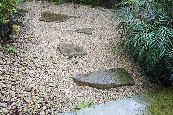 uaSCbgDCo5GITVw1594965911