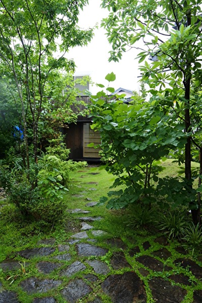 uuJTJqceOvAqUHG1594966373