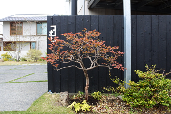 5CATnumMHCXGbVN1598146873