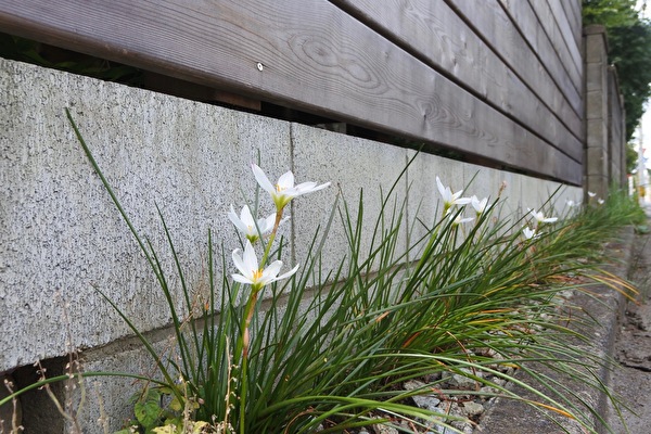 G1j6YM3hIZBAmdc1596341998