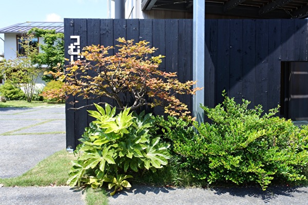 g9ZXXfF1q0l5Oyh1598147042