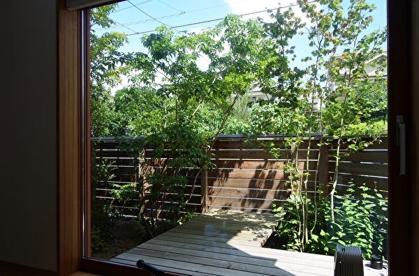 iG800jpcgB1inDj1596341778