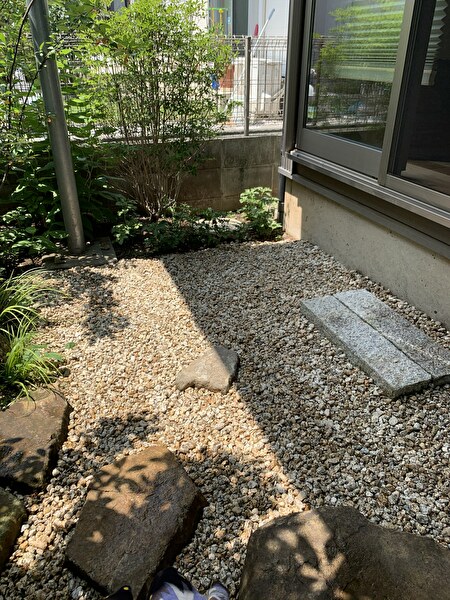 wAxv4H203z66nRb1596755760