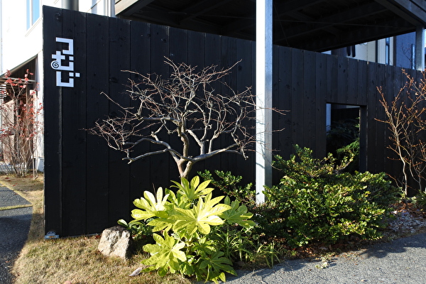 x0wUIGnWGJmHBJq1598146919