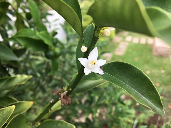 0CpZvkc3mTRquTl1599721075