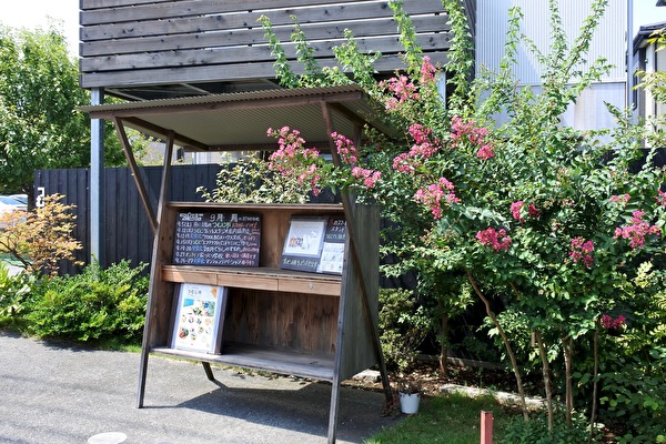 OylLIJ44g3sa9Ur1599026263