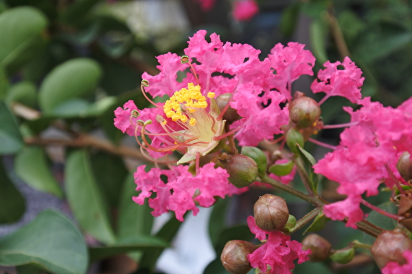 Wld3EtyzJyUvgDi1599026138