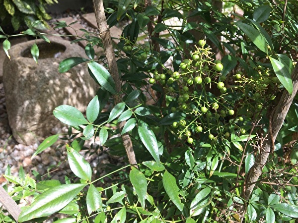 k368OOSsmOmQCqP1599721044