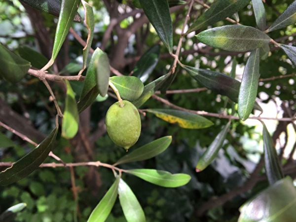 ovc8IX9IFHm0jfE1599721103