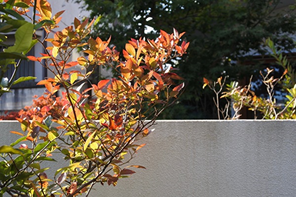 K3GjkQzM3qHtKbL1603696859