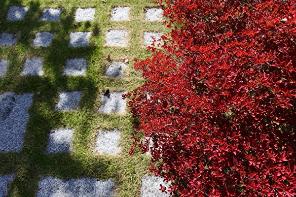 kzWJVZuwgC9dP6m1603697015