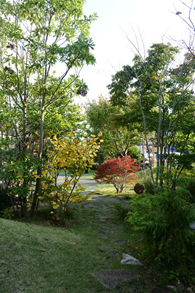 キラキラした秋の光