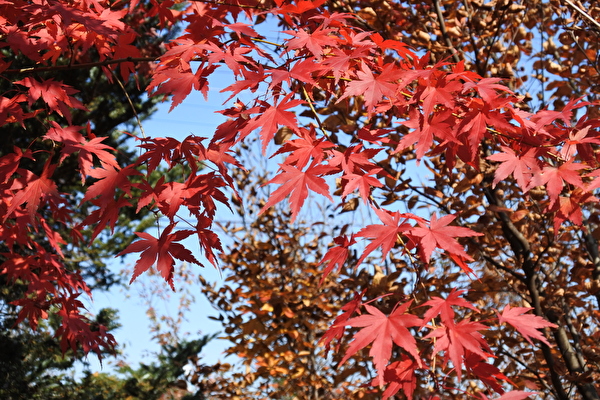 9zlMleEOMTVZy9u1605599179