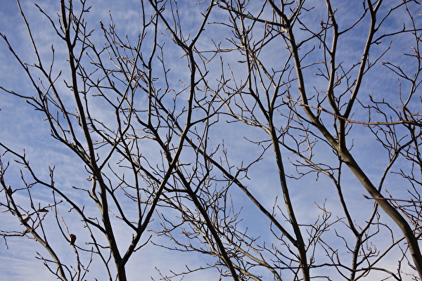 EbTovgJurNLHgqB1606461905