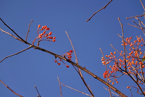 NfSTBGbLCYZKJBd1606462088