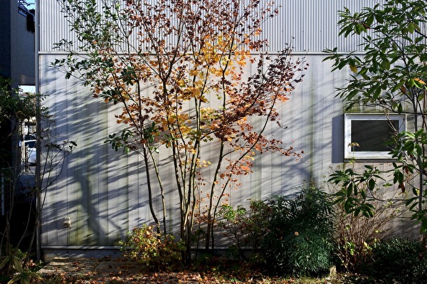 P0ev7PwJBMa387W1606462123