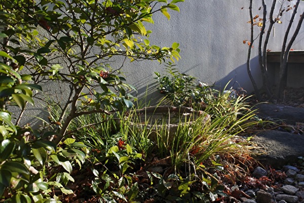 WNYiZAG1PXdp11i1606462185