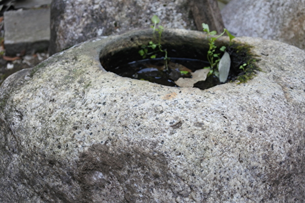 otyhobi4NK36B8Y1605599269