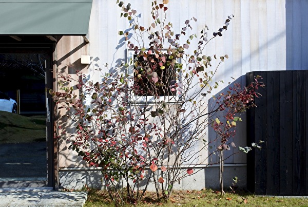 pHuYKZuwI7FAROx1606461937