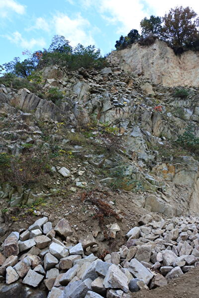 zf2ssP5SDA1d4Z11606025515