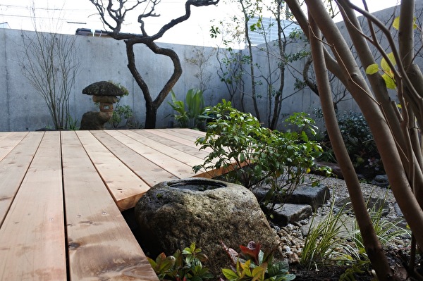 NOosgWJ7a3Dpw231608365650