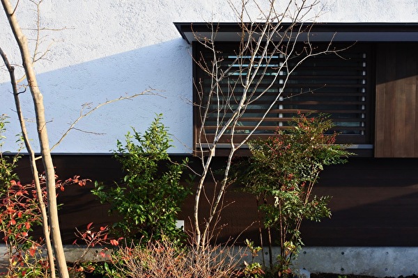 SVx3uGlbZvhAsIq1608365596