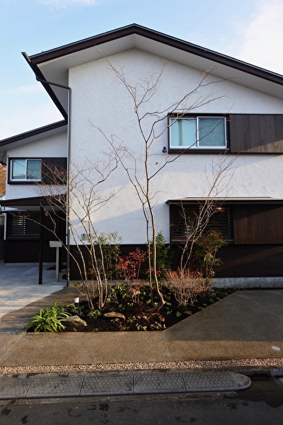 Z9lseXY0mdx5UwY1608365849