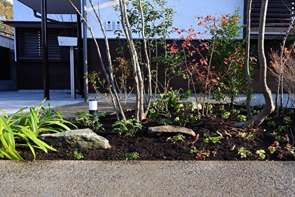 庭の歴史が織りなして生まれた新しい庭