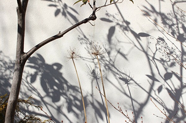 K7LjonTbpM6Kkye1611103945