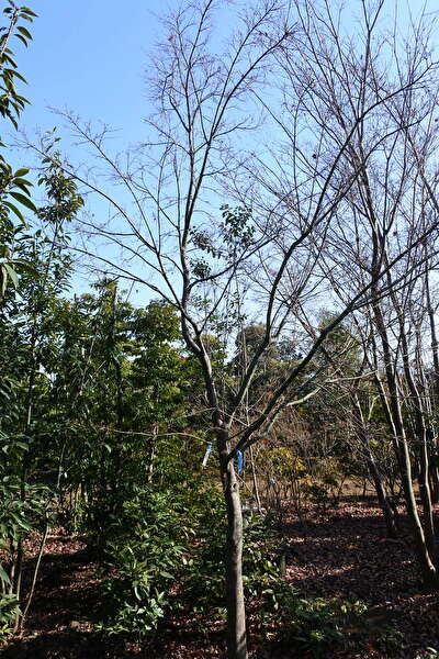 UdyiewZaVsfjpbi1610781686