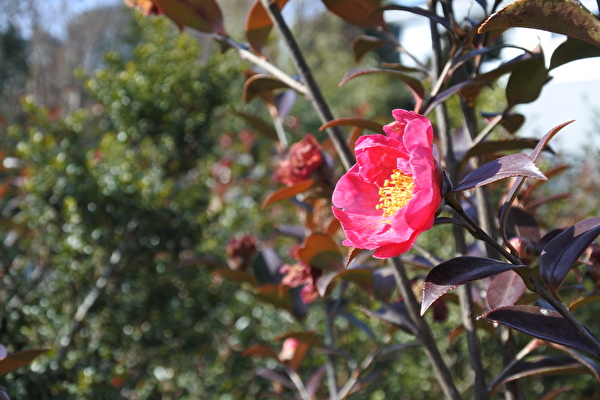 YSuXxmJjbZO4JnE1610781489