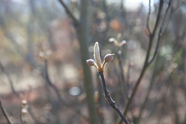 eEXLv3rU3G0Eu9L1610781526