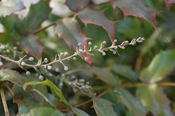 gdAL2ao1J9dUXwI1611103929