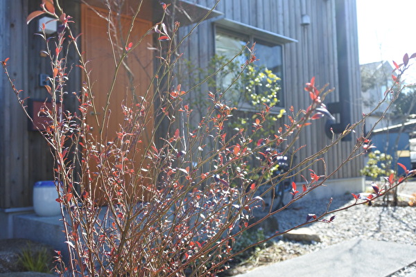 240pNctpm0Z8kMC1612572210