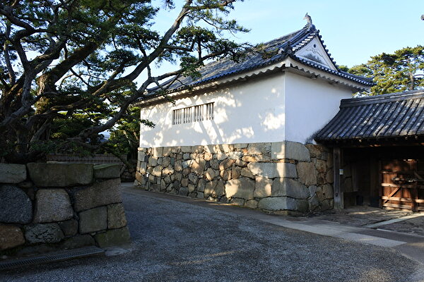 31p8DWr6JRwQcPy1613022429