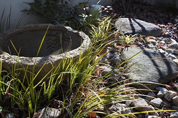 Bptld51HTWlKUXu1612257793