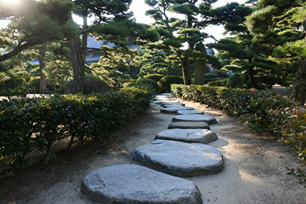 Nap1MH8cJFUz3yO1613022685