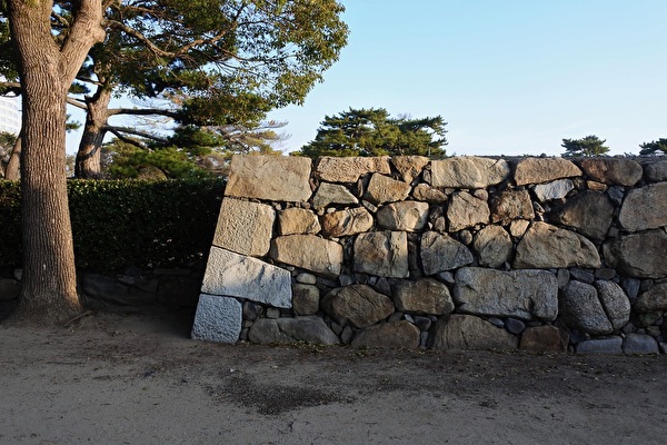 P4pB962jbf1N0Oa1613022595