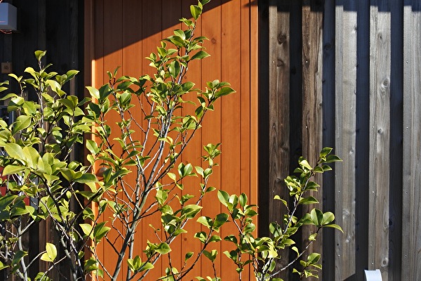 Q5MlyOF3IiPncQT1612572172