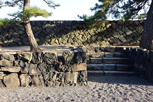 RUrCFRUNWc0Hdra1613022510