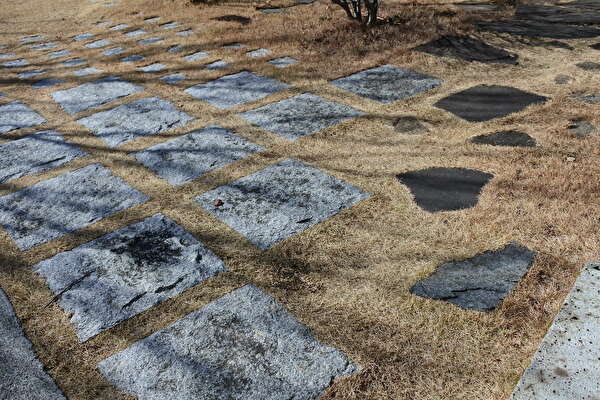 X0EG8Nv8pl8V3j81612257649