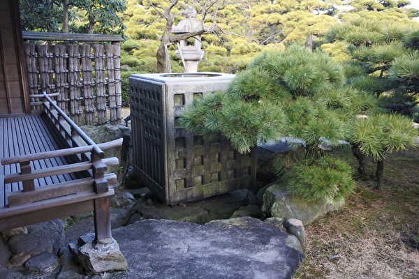 drL1k2EVuU3dfvT1613022624