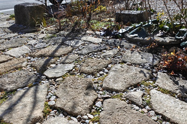 m4QcdbrivnvafYz1612572112