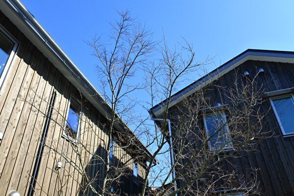 ouofnRFhErKbdJZ1612572242