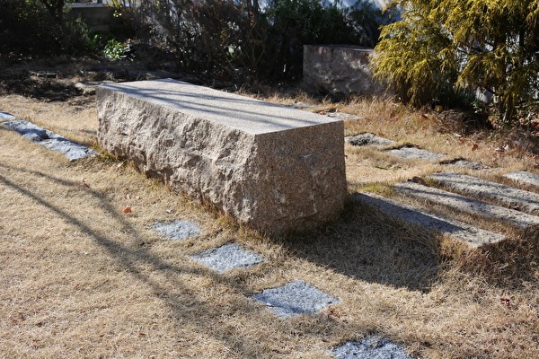 uU9JJwIMteiPDct1612257825