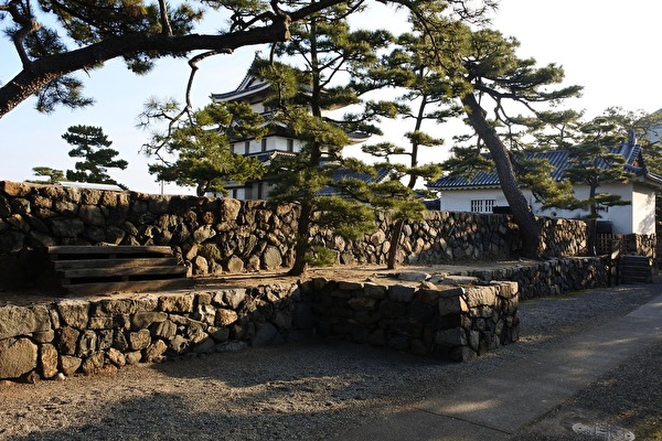 xmV2ZKQsO0V3d0J1613022398