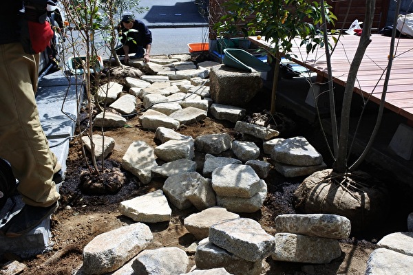 3EDx7GYCcoVmOKo1616122226